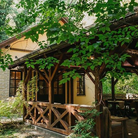Forest House Палич Екстериор снимка