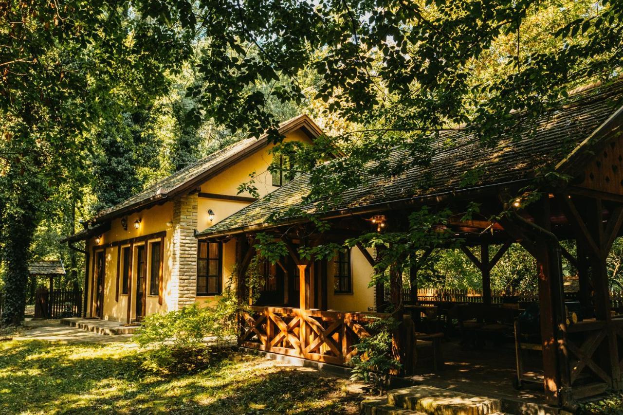 Forest House Палич Екстериор снимка