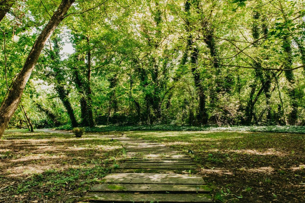 Forest House Палич Екстериор снимка