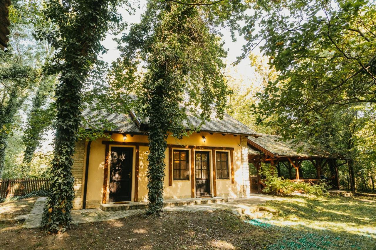 Forest House Палич Екстериор снимка