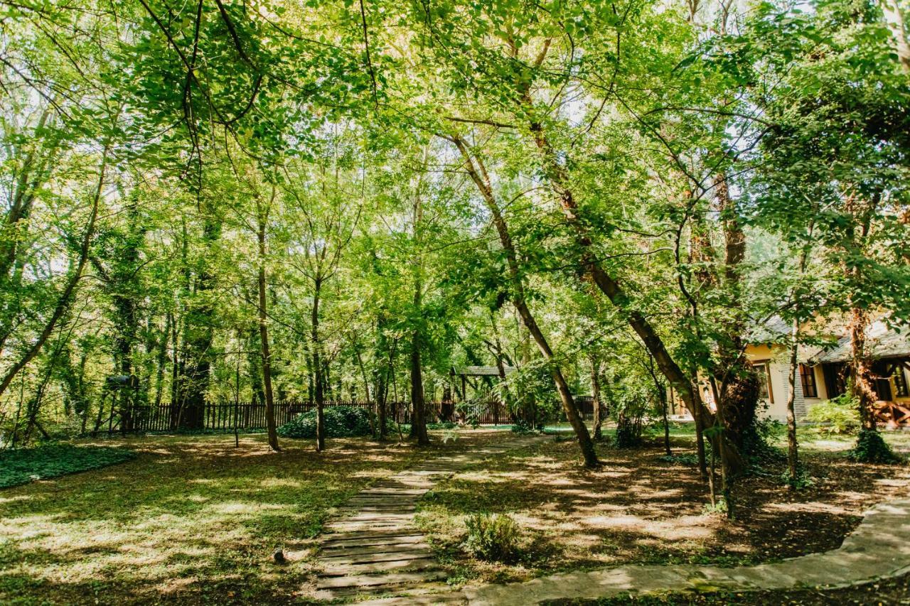 Forest House Палич Екстериор снимка