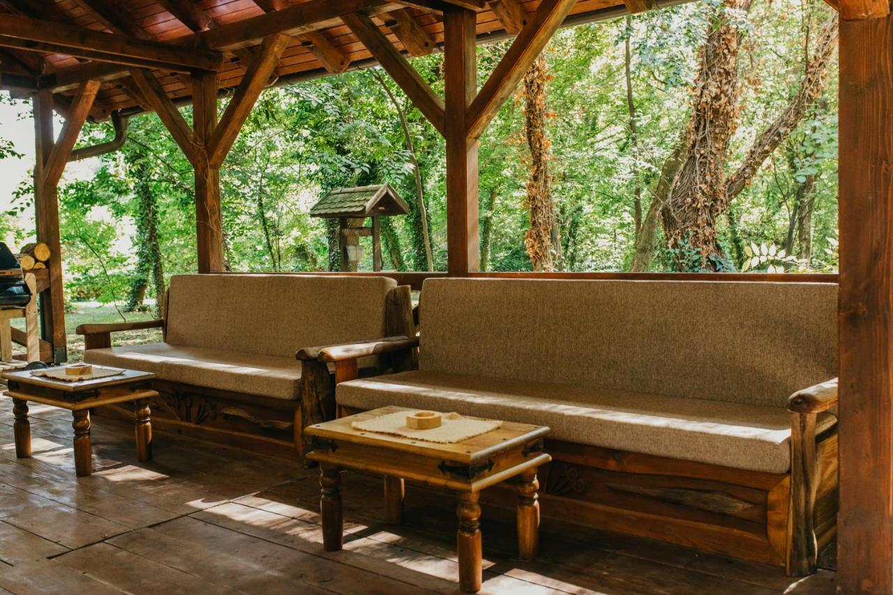 Forest House Палич Екстериор снимка