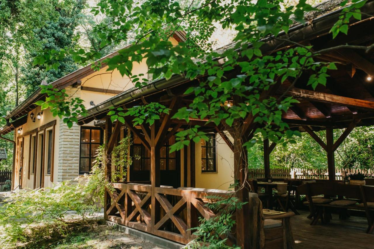 Forest House Палич Екстериор снимка