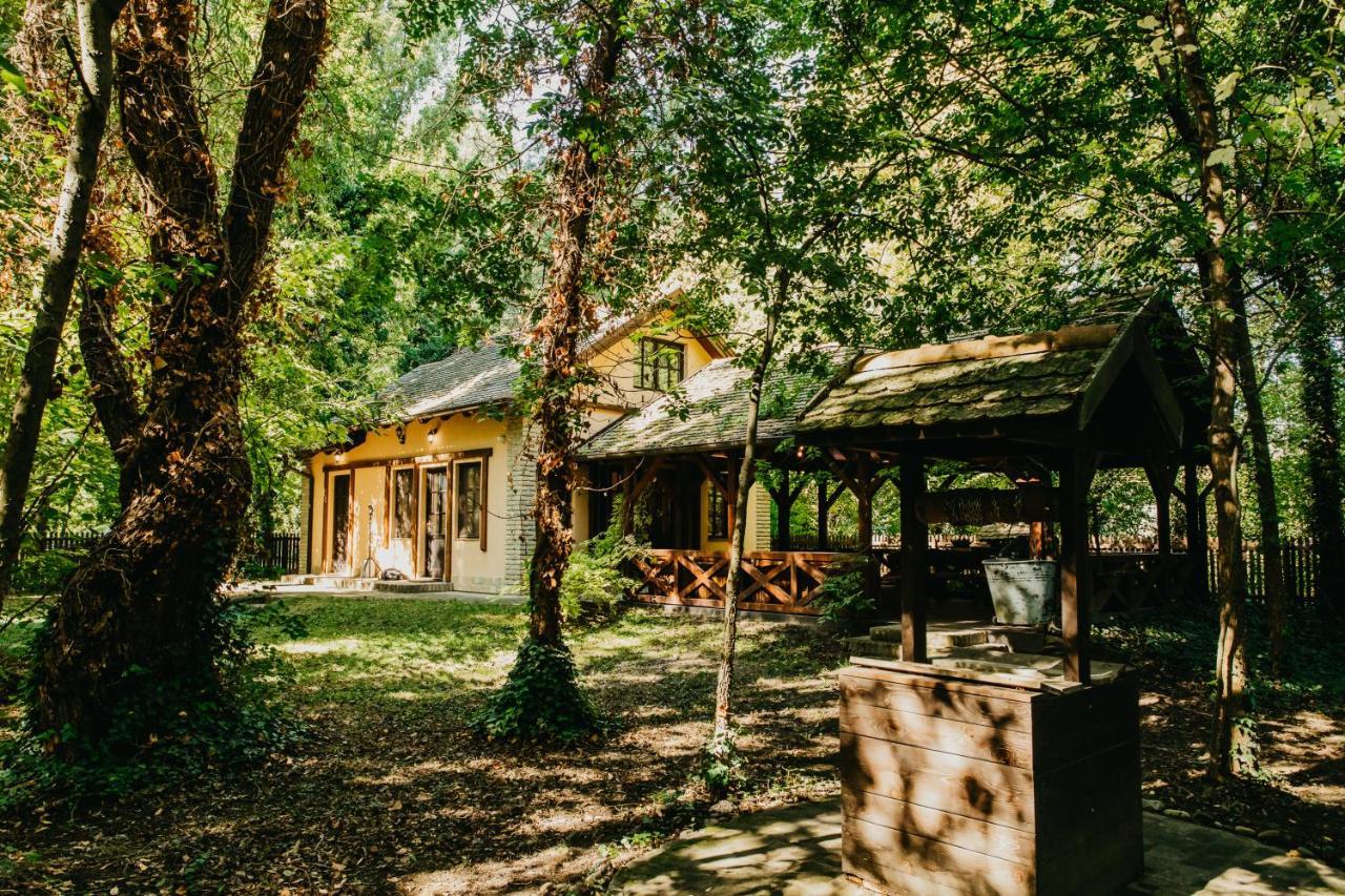 Forest House Палич Екстериор снимка