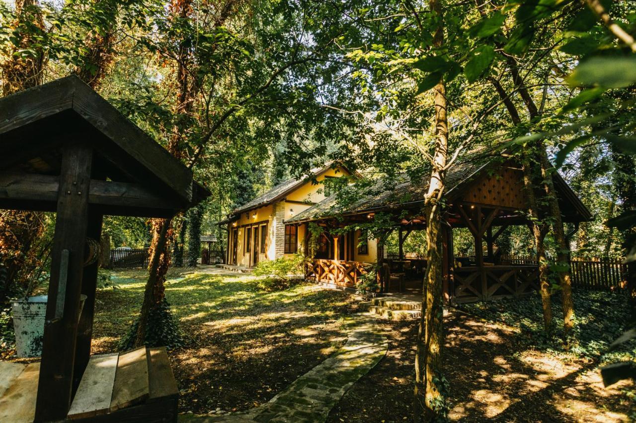 Forest House Палич Екстериор снимка