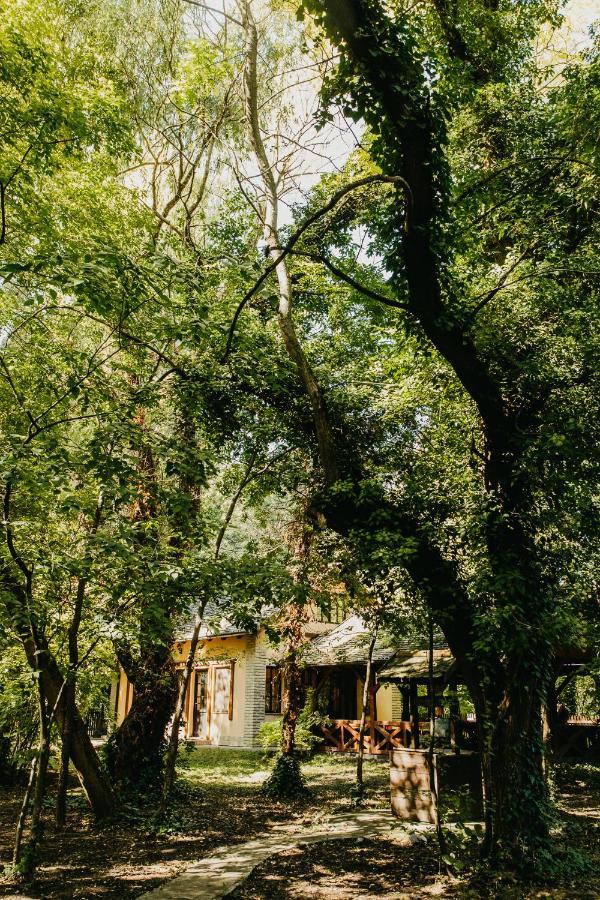 Forest House Палич Екстериор снимка