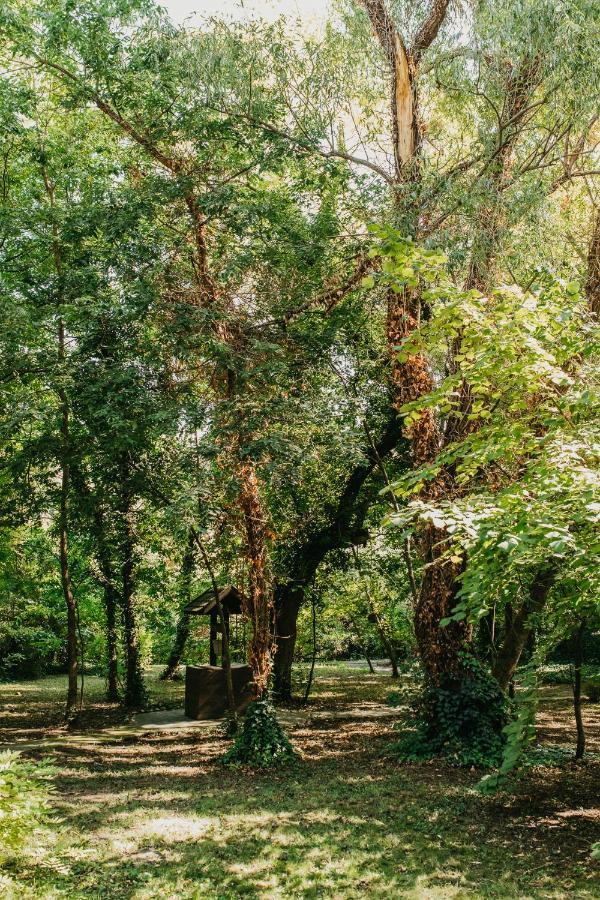 Forest House Палич Екстериор снимка